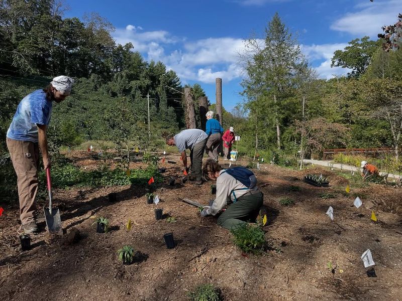 Strategic Fall Planting Sets Up Winter Success