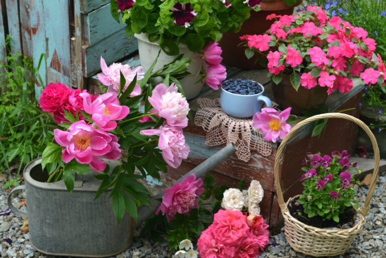 Cottagecore garden (featured image)