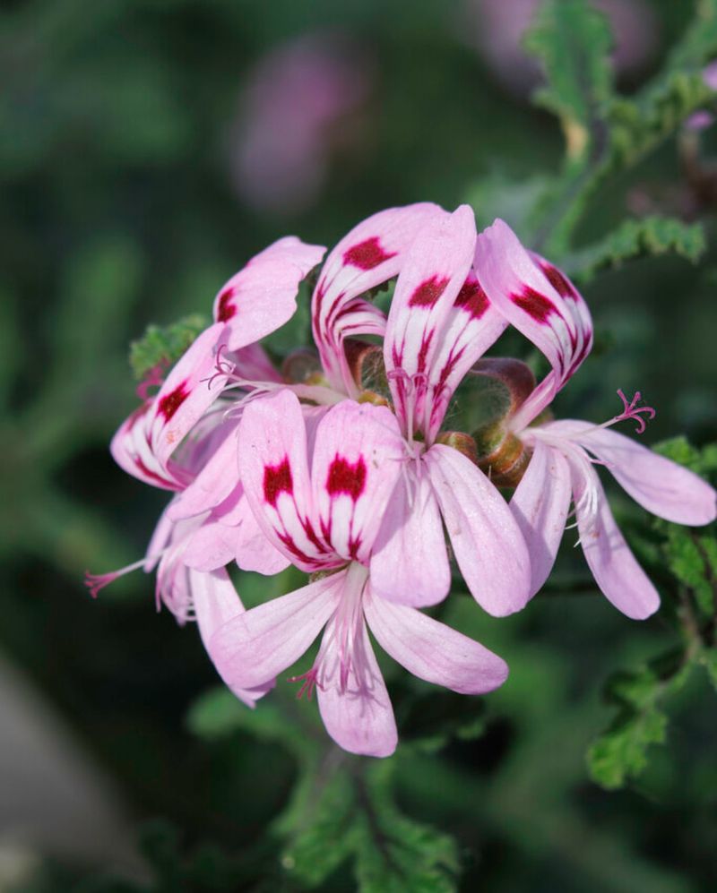 Touch-Activated Fragrance Magic