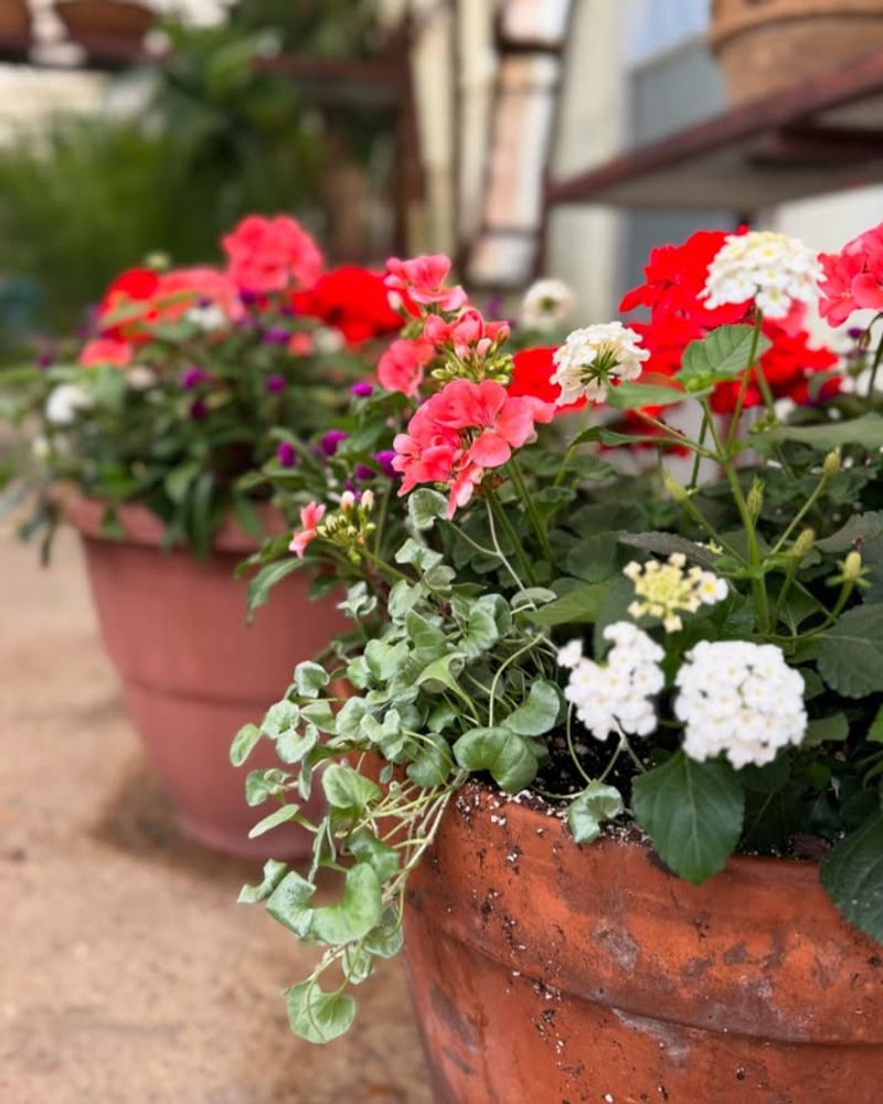 Low Maintenance Requirements