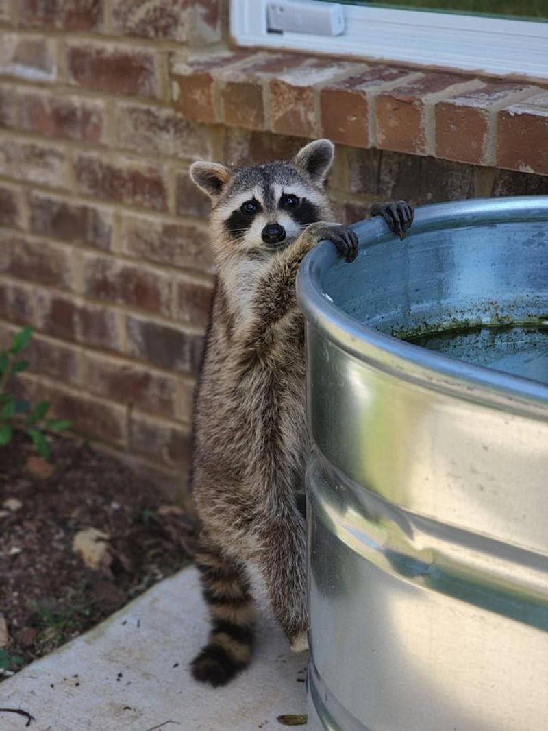 Neighbors Might Be Part Of The Problem