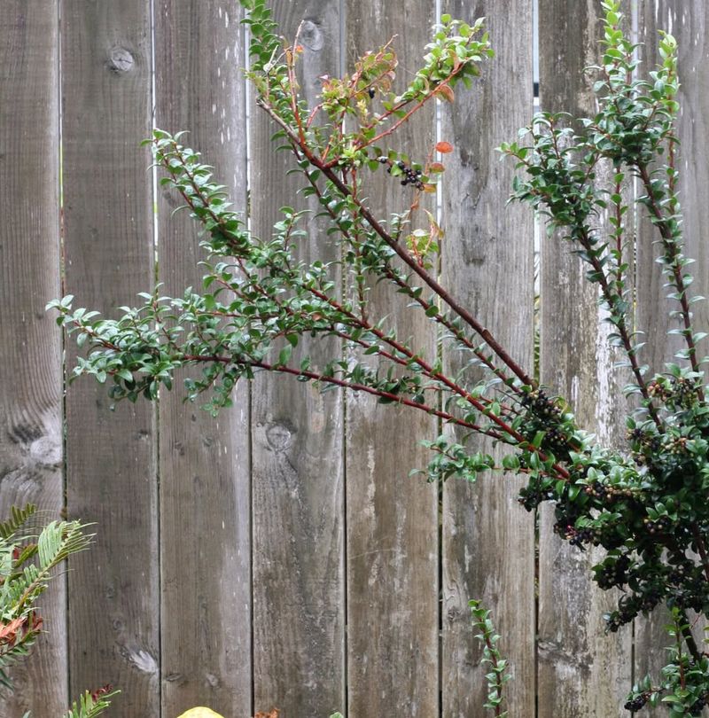 Talk To Your Neighbor First