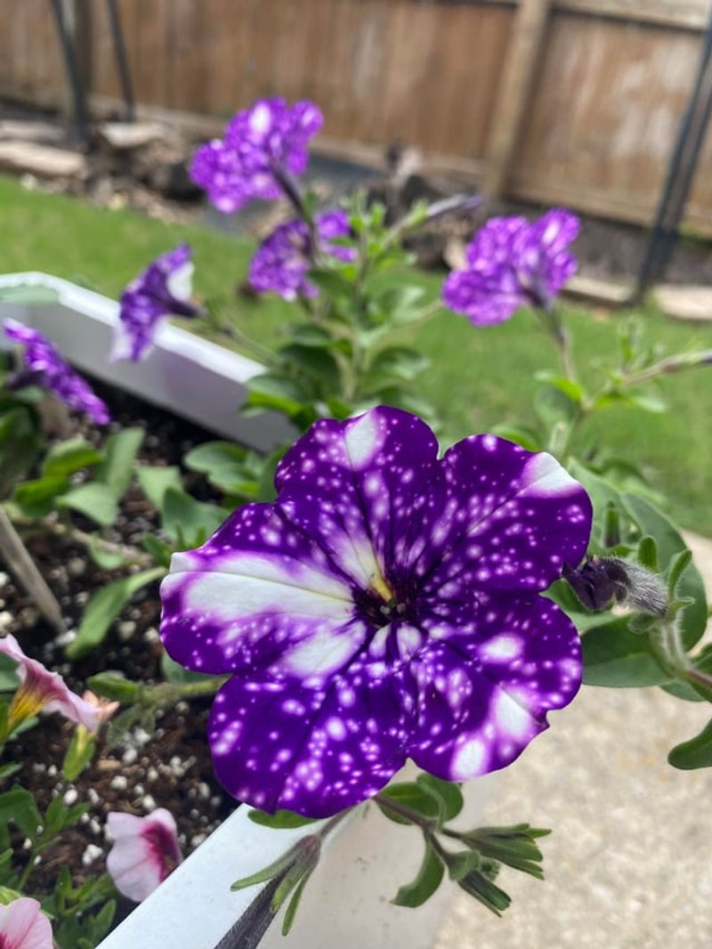 Budget-Friendly Beauty That Looks Expensive