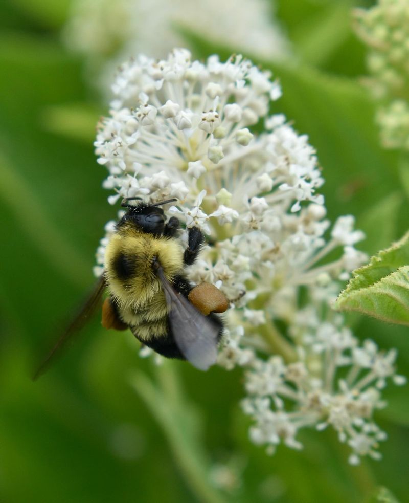 Compact Size Perfect For Small Spaces