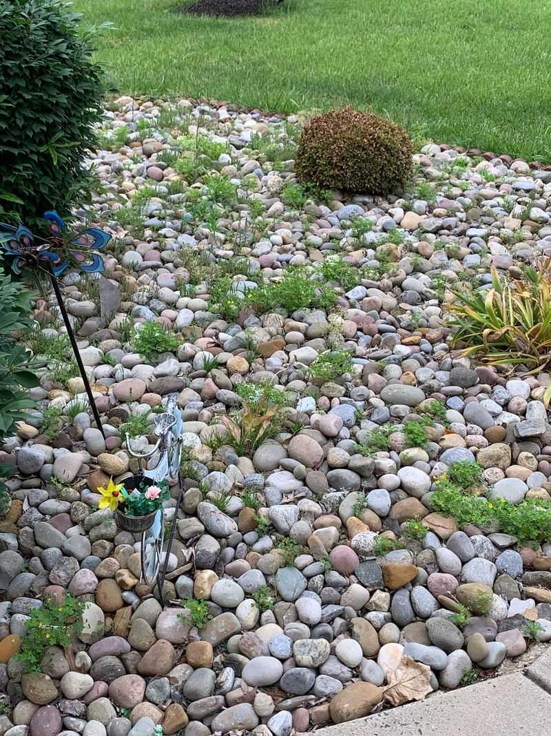 Decorative Rock Gardens