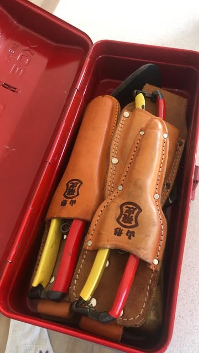 Organize Tools in a Dry Space