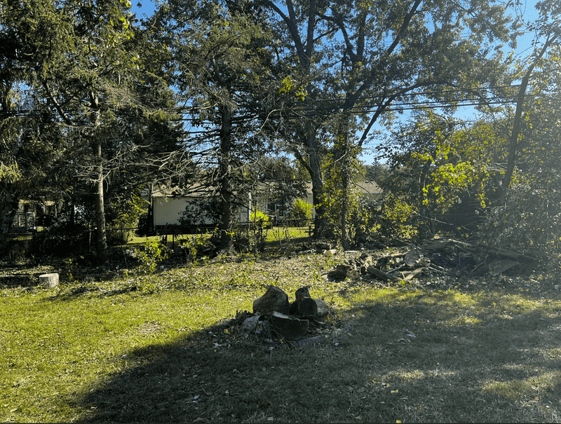 Trees In Protected Utility Easements