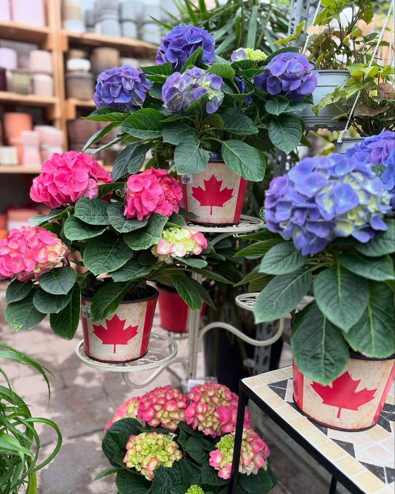 Stop Fertilizing Until Spring Arrives