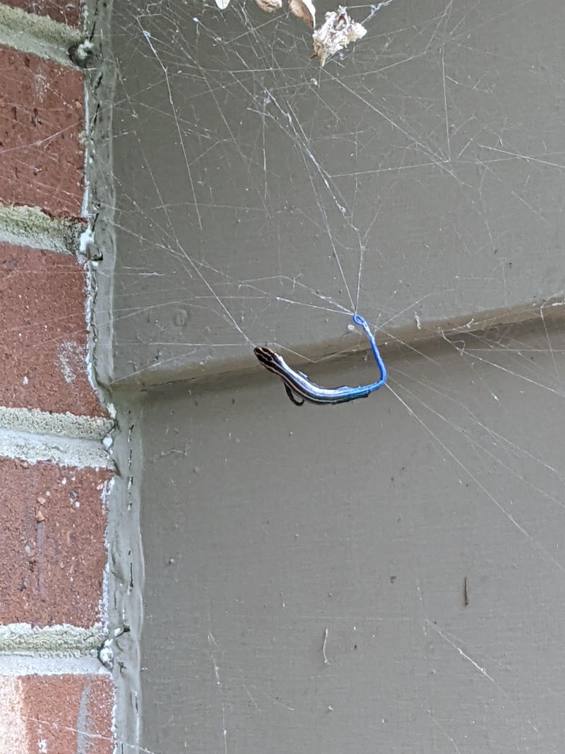 Create A DIY Cobweb Duster With A Paint Roller