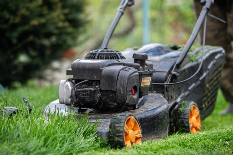 lawn mowing (featured image)