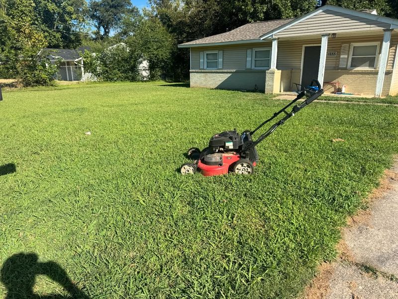 Sunlight Reaches Grass Crowns More Easily