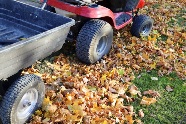 lawn mower with a big container