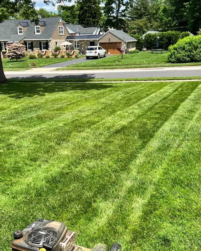 Prevents Grass From Leaning One Way