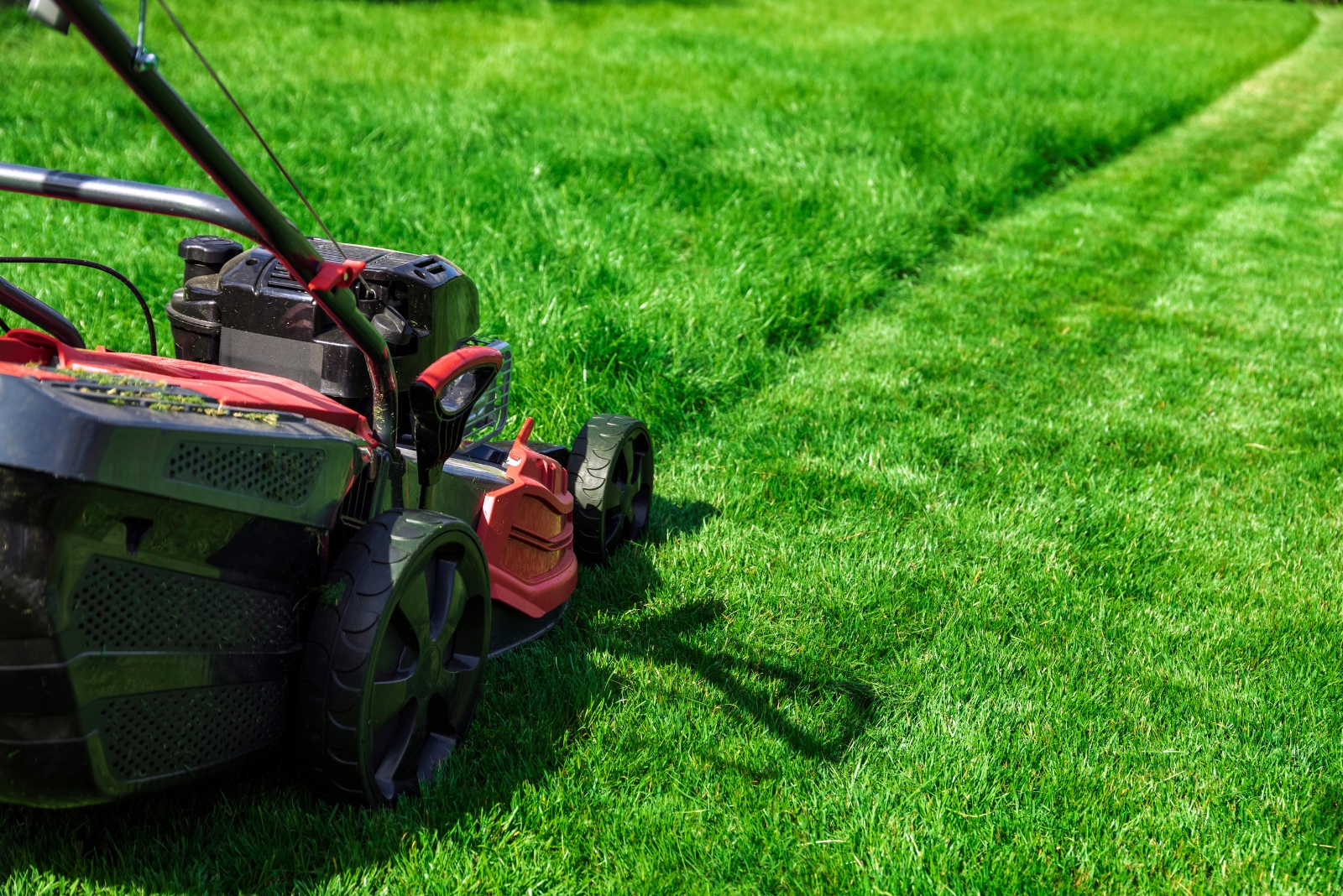 lawn mowing (featured image)
