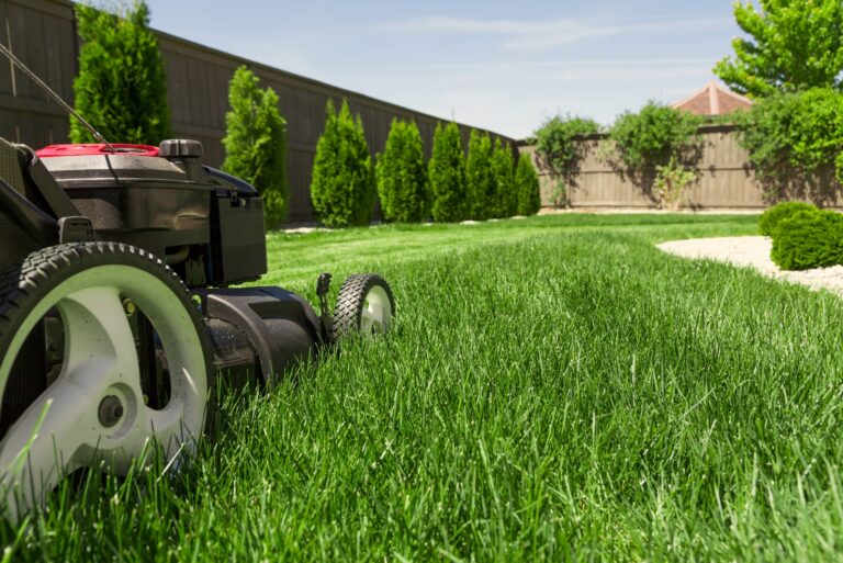 lawn mowing (featured image)