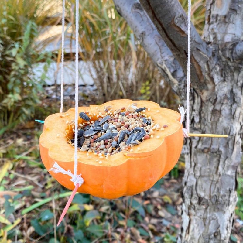 Create A Bird Feeder Station