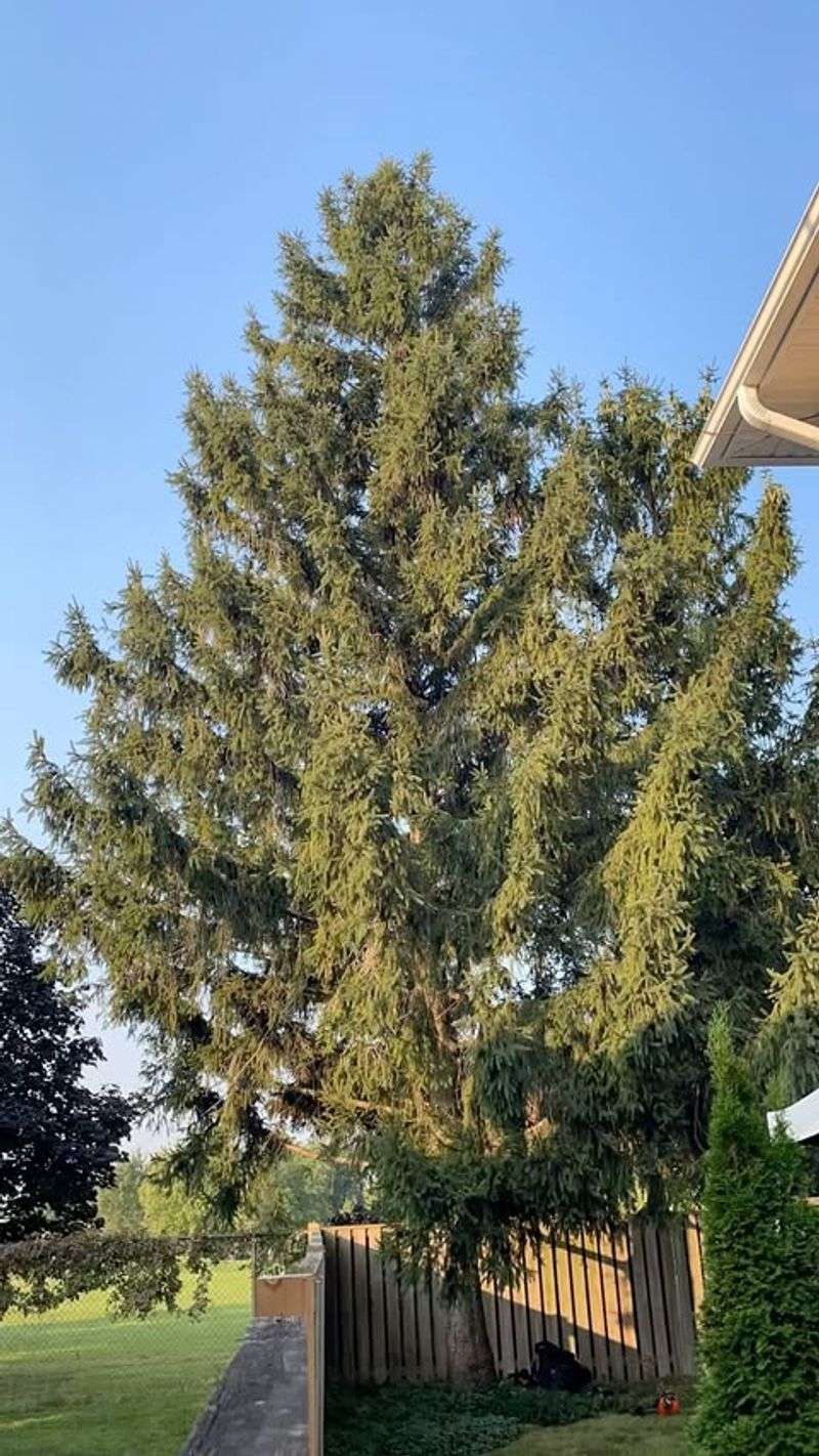 Know Your Property Boundaries First