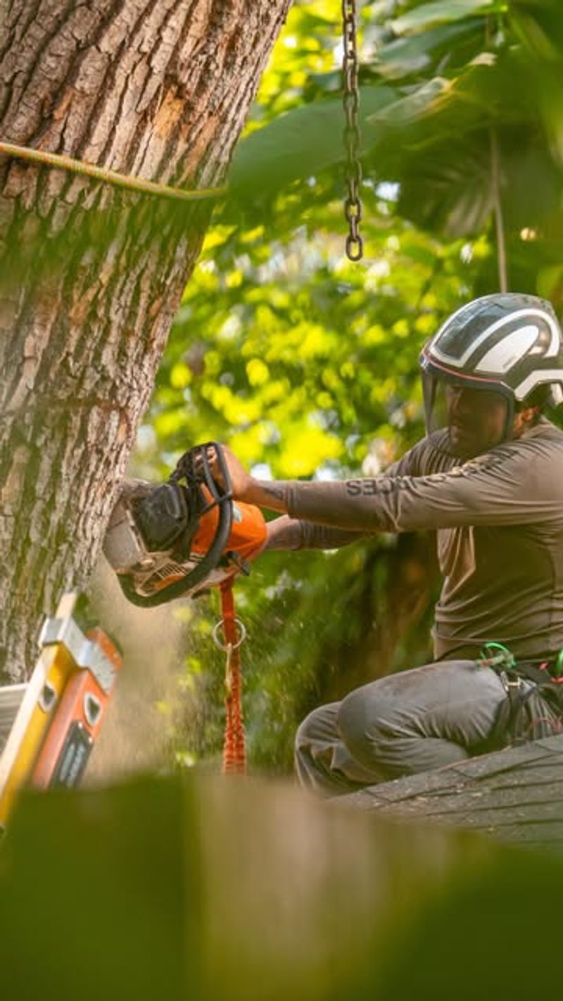 Visible Signs Of Risk