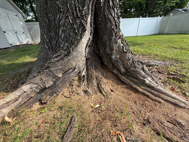 Seek Professional Help