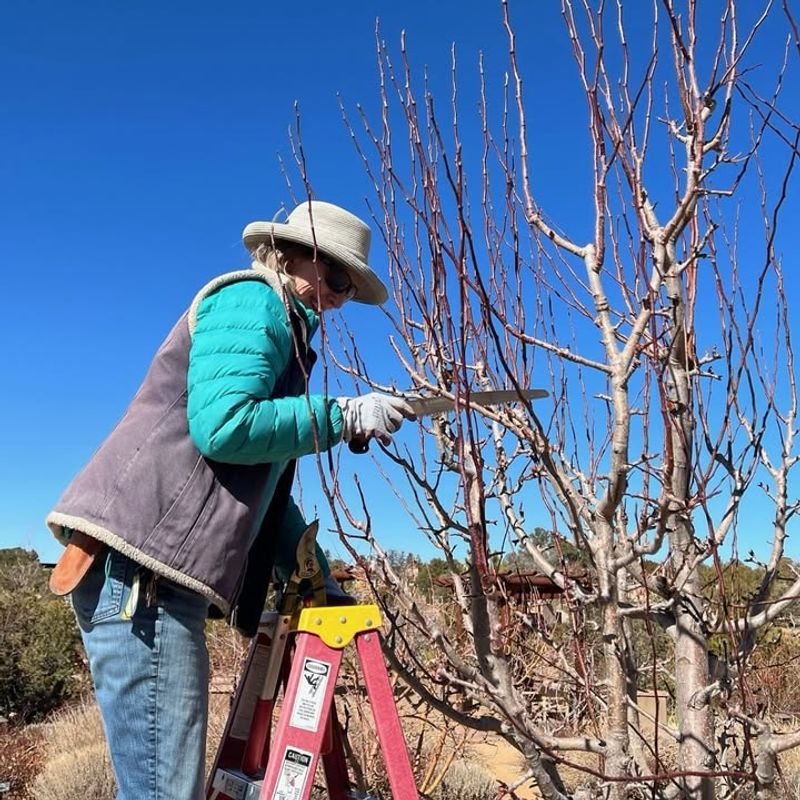 Check Weather Forecasts Before You Start