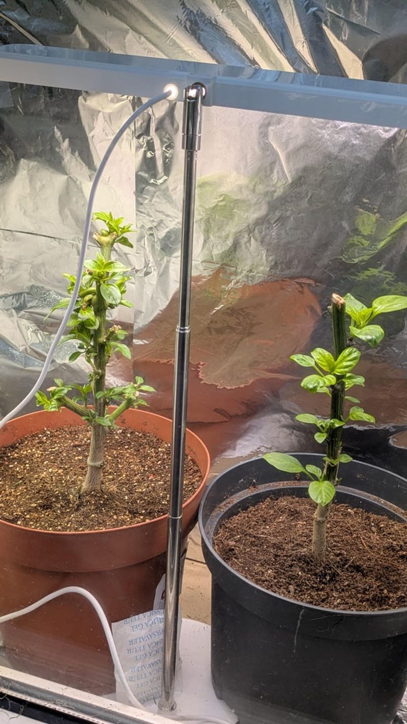 Basement with Window Light