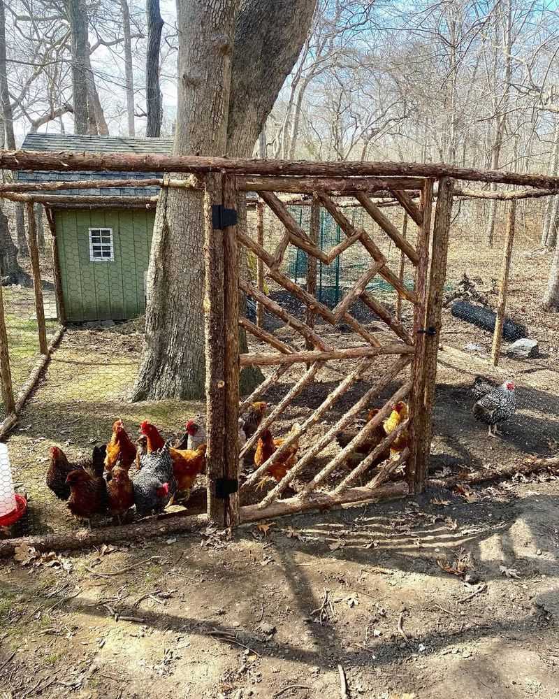 Chicken Coops in Restricted Areas