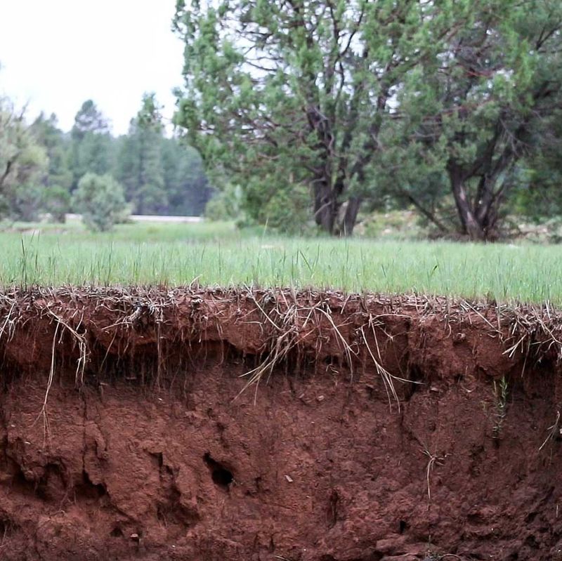 Climate Change Intensifies Nutrient Loss