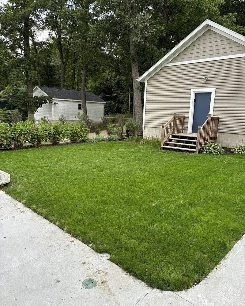 Clear Brush And Tall Grass From Your Yard