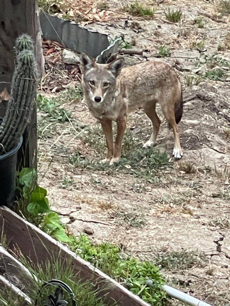 Maintain Eye Contact Without Staring Aggressively