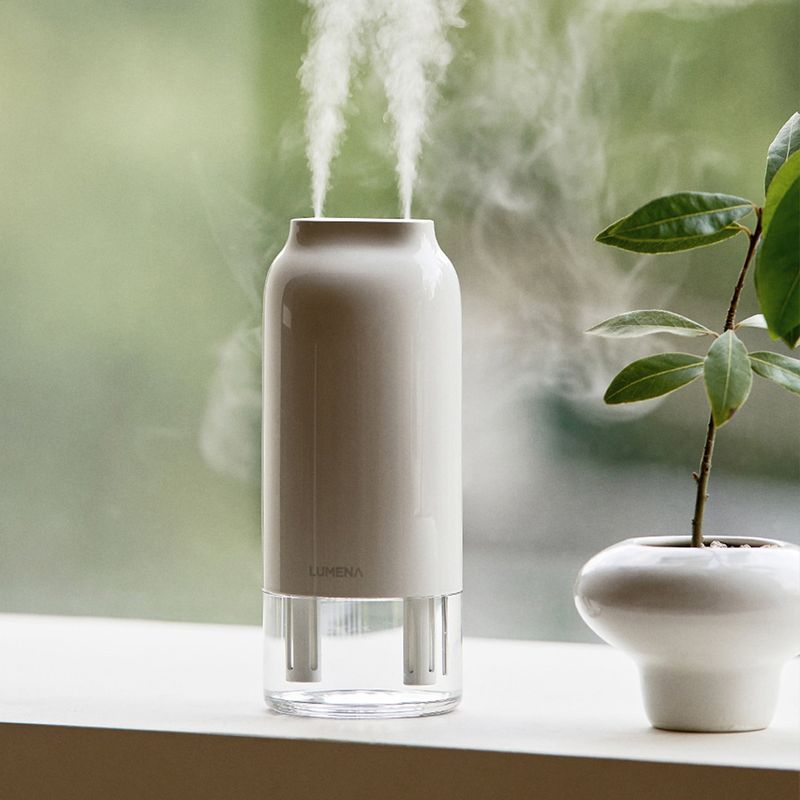Invest In A Humidifier