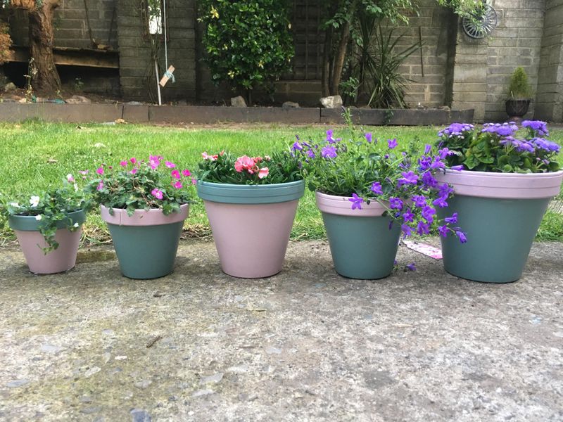 Move Pots to Sheltered Locations