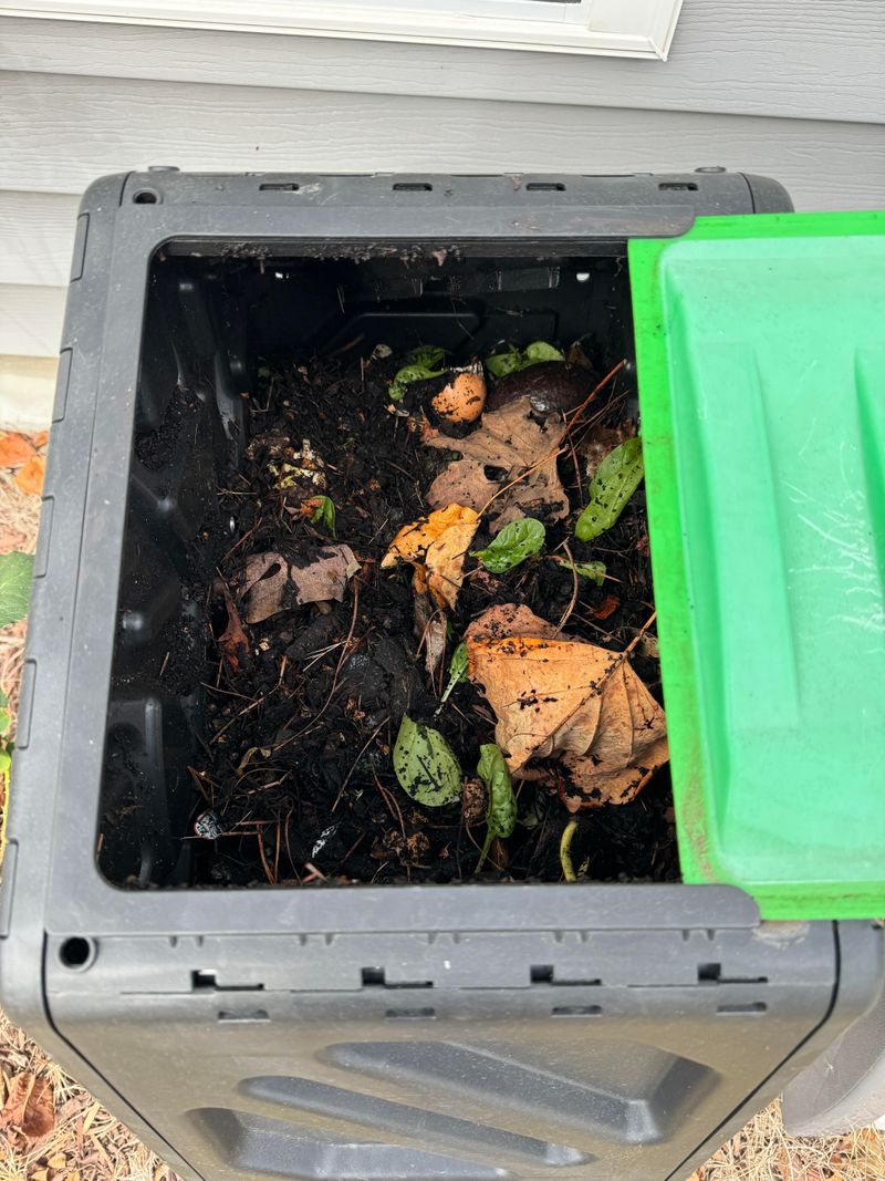 Empty Your Bin Frequently