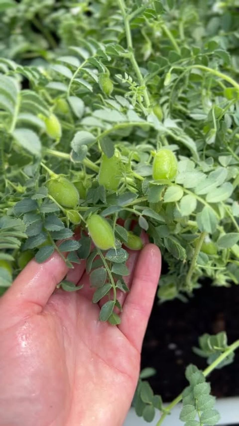 Provide Plenty of Bright Light