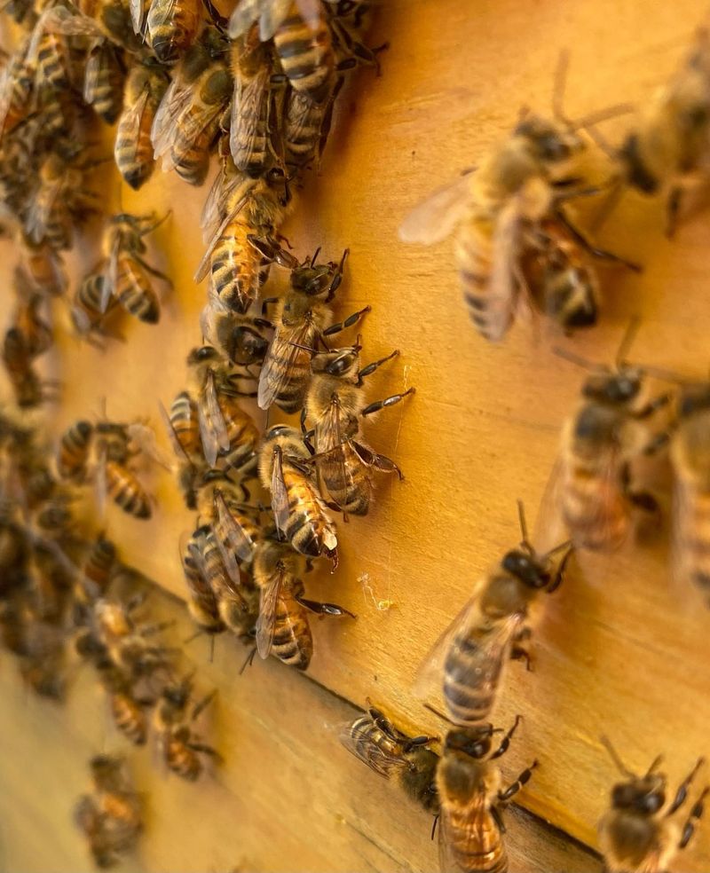 Extreme Weather Patterns Disrupt Cycles