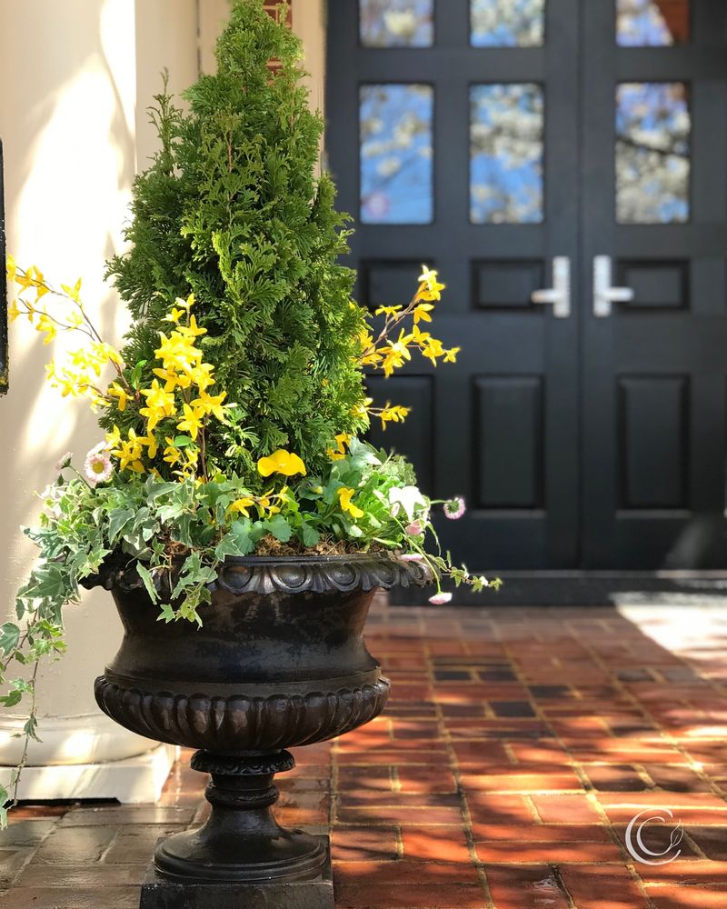 Eco-Friendly Choice For Sustainable Decorating