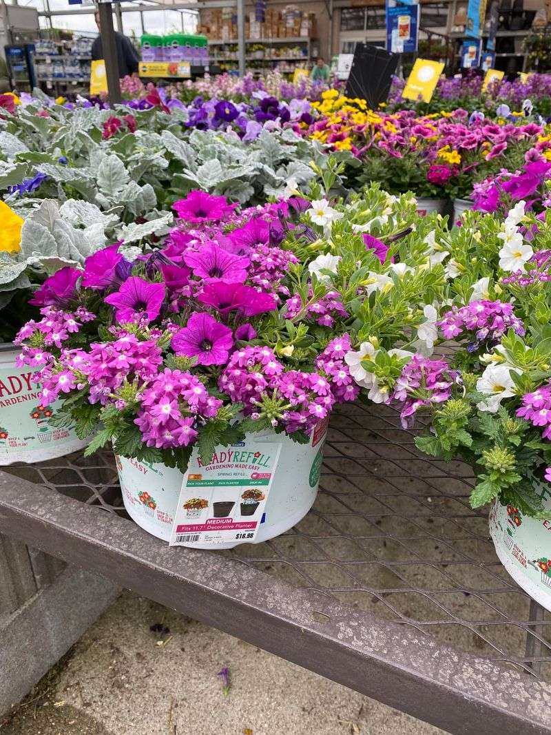 Budget-Friendly Beauty For Every Homeowner