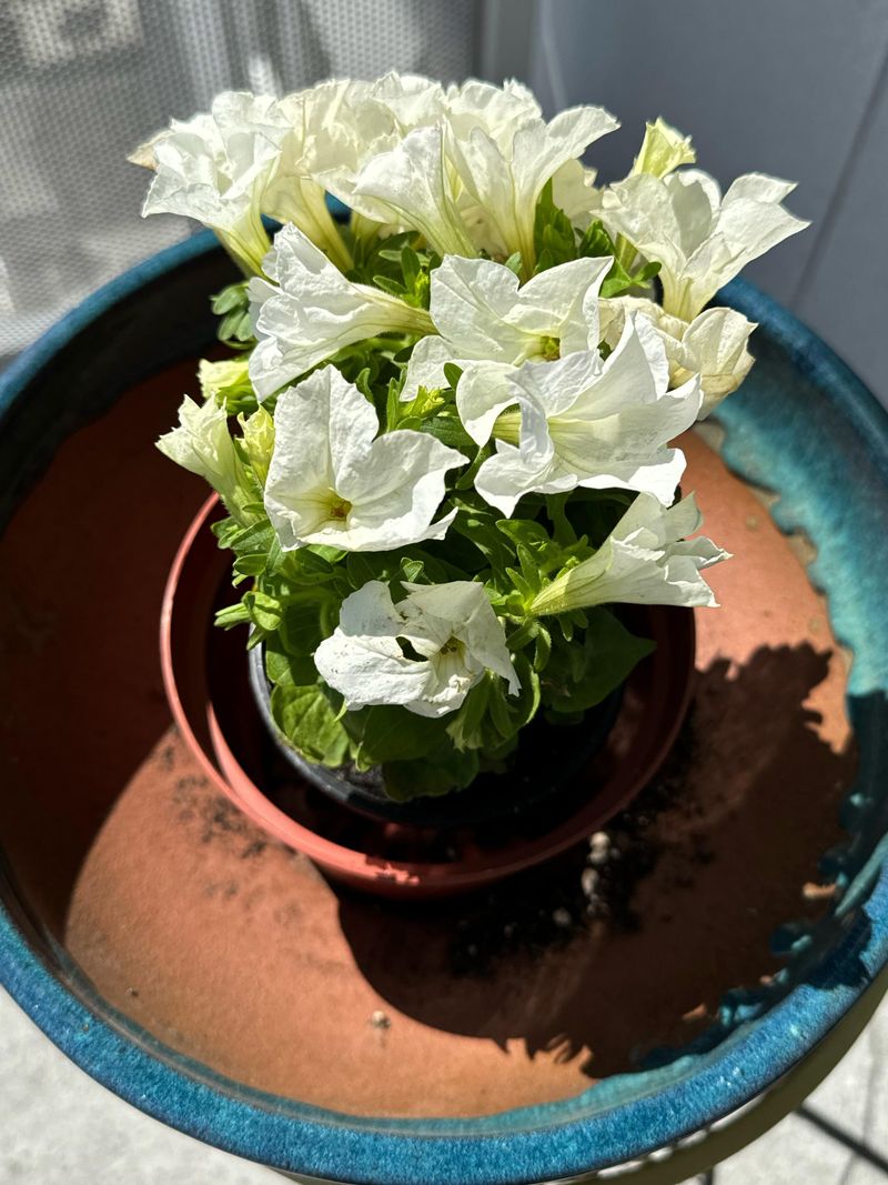 Easy Maintenance For Busy Families