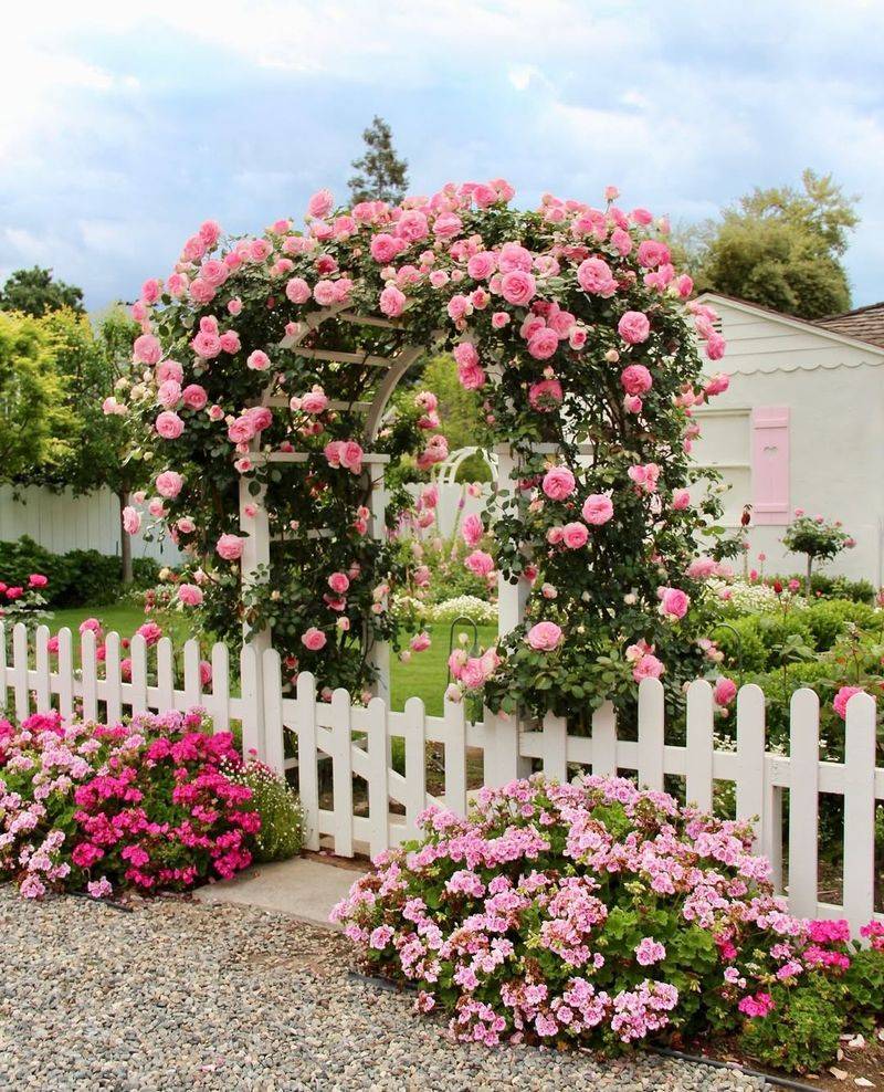 The Climbing Flowers Turning Plain Fences Into Storybook Walls