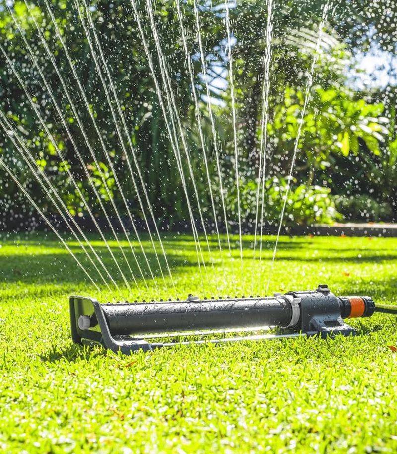 Use Gentle Deterrents If Needed