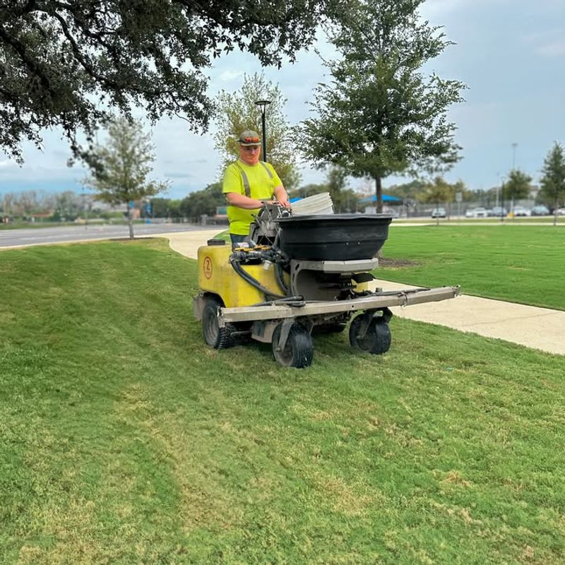 Nitrogen Ratios Matter More Than You Think