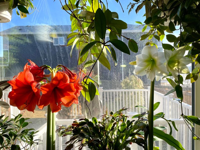 Increased Natural Sunlight Exposure