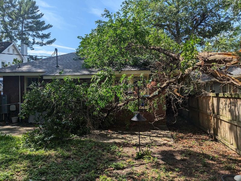 Small Claims Court For Minor Damages