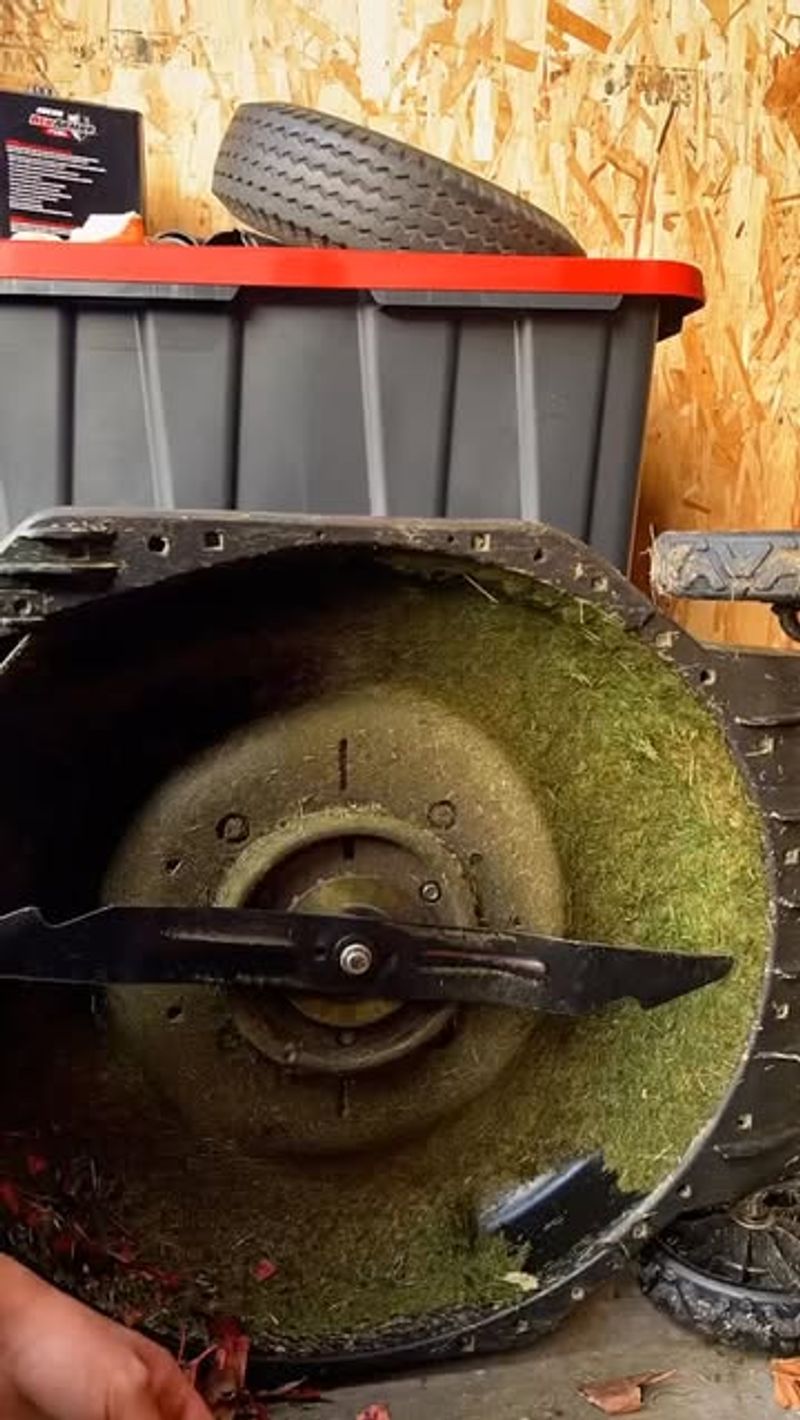 Clean Your Mower After Each Use