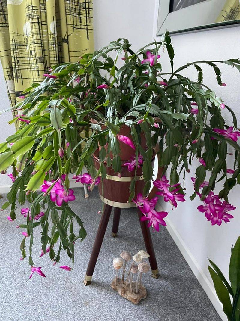 Provide Good Air Circulation