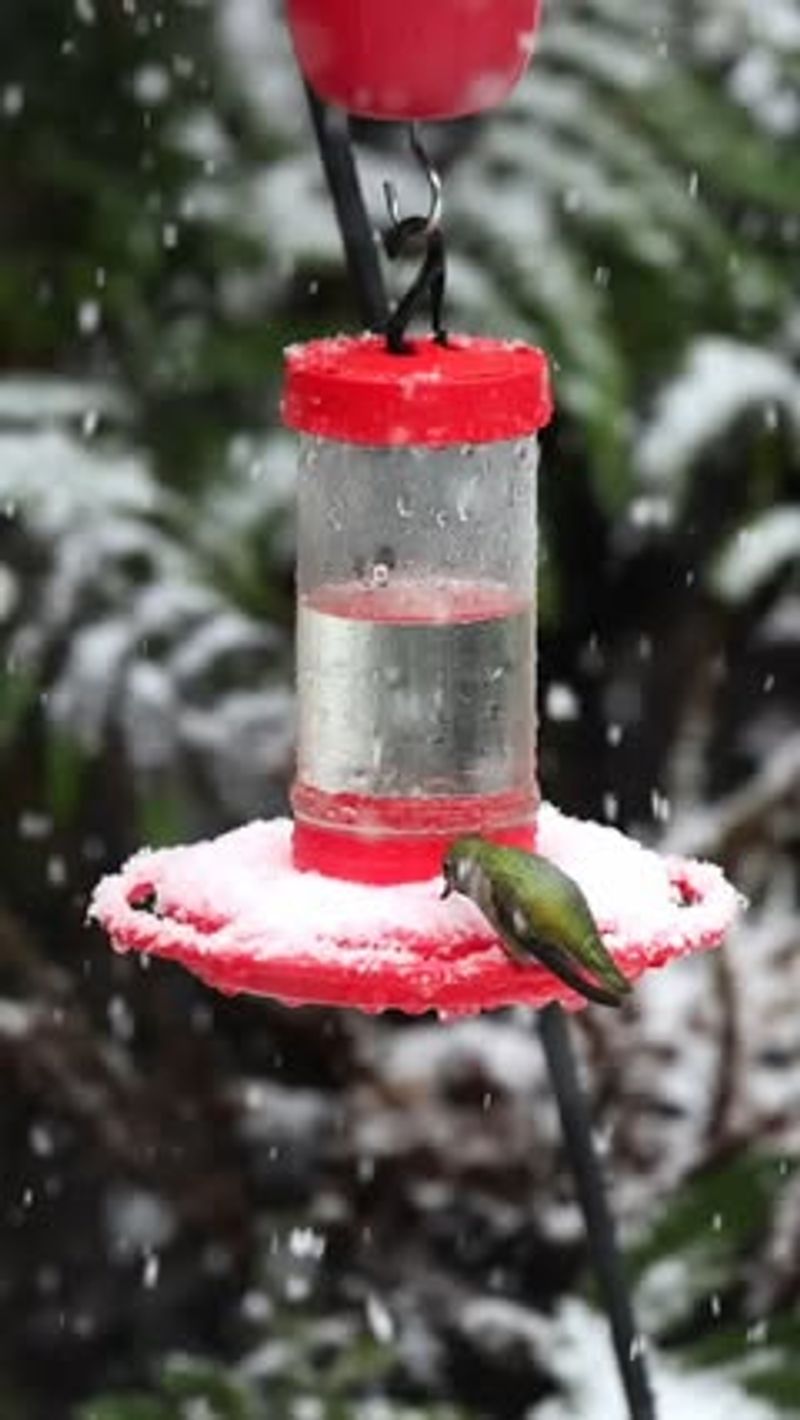 Temperature Drops Signal Removal Time