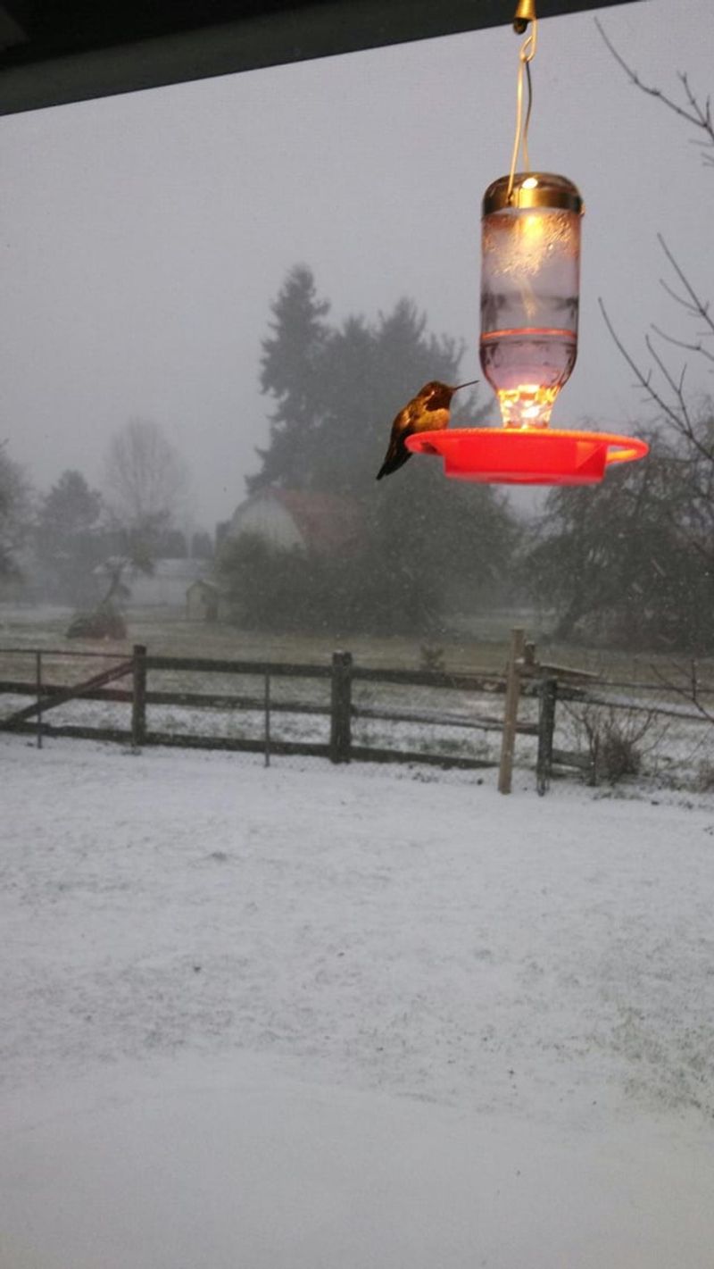 Cold Weather Creates Maintenance Challenges