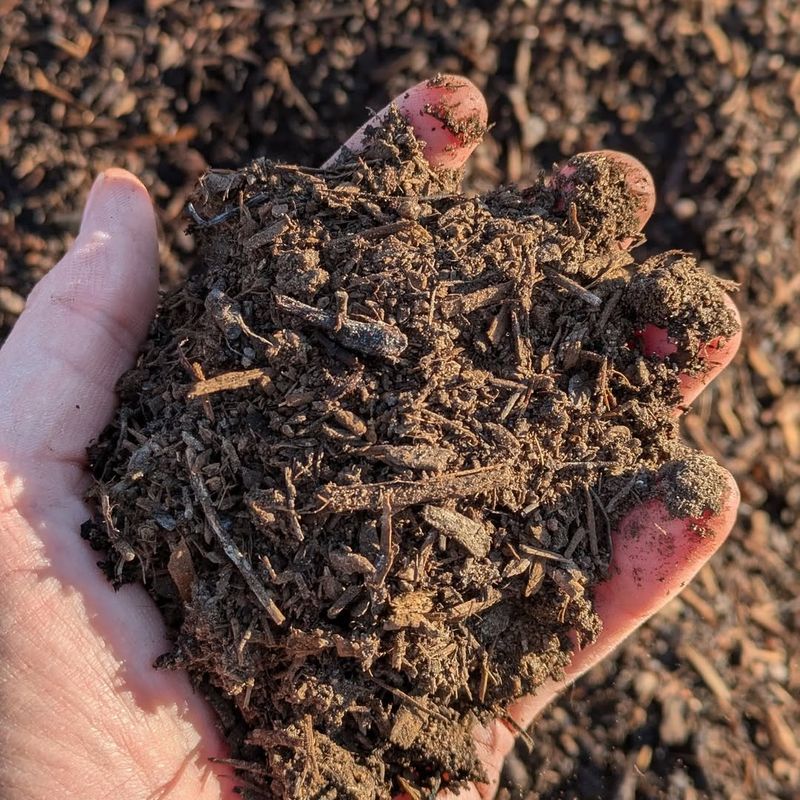 Soil Quality Matters More Than You Think