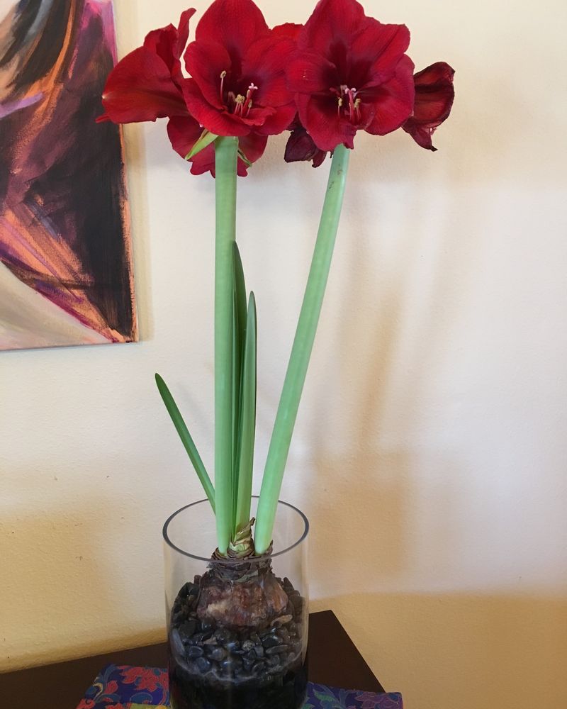 Testing Different Light Conditions