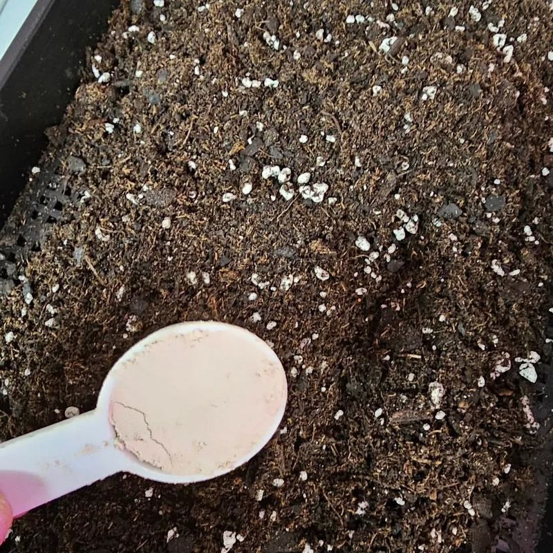 Trace Minerals Fill Nutritional Gaps