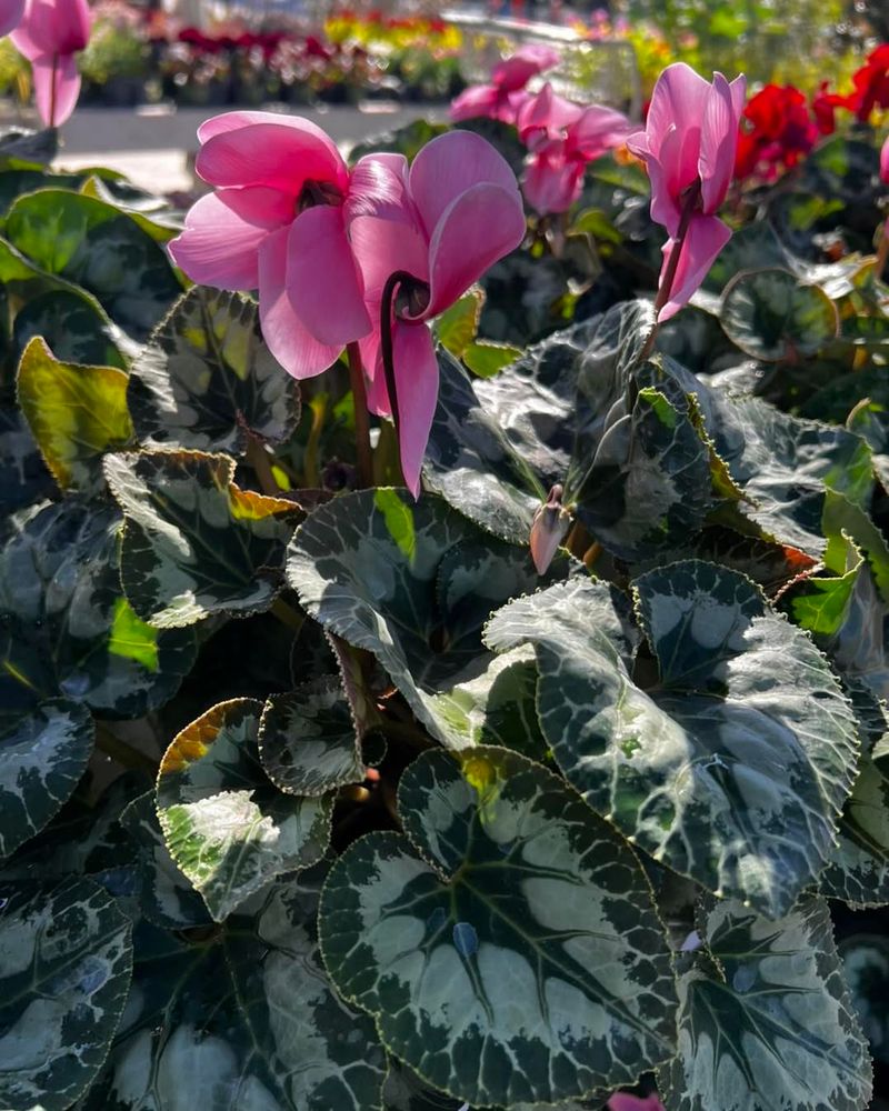 Find The Sweet Spot For Temperature